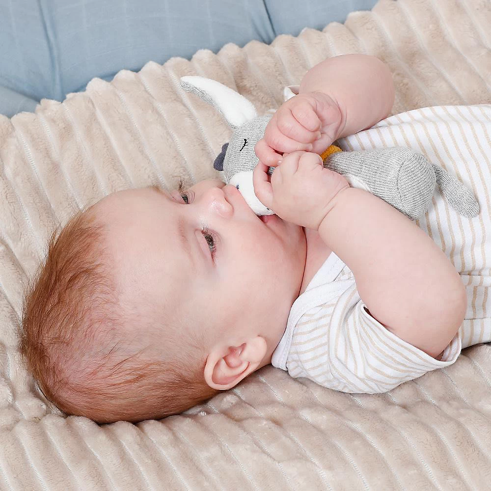 Fehn Stabrassel Esel NATUR â Bild 3