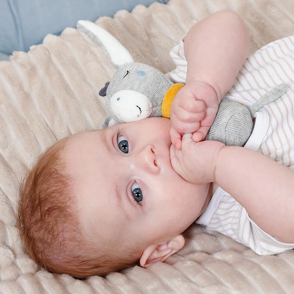 Fehn Stabrassel Esel NATUR â Bild 5