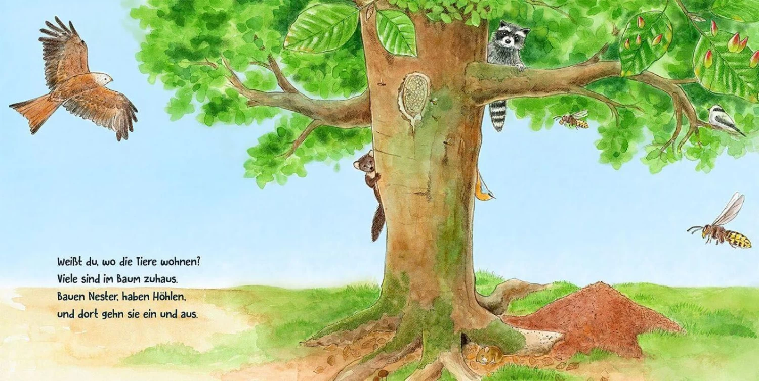 Guck Mal Wer Da Wohnt – Bild 5