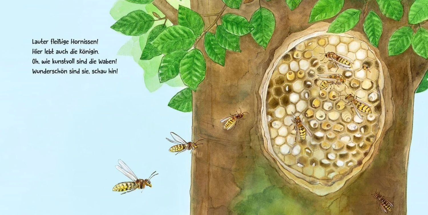 Guck Mal Wer Da Wohnt – Bild 7