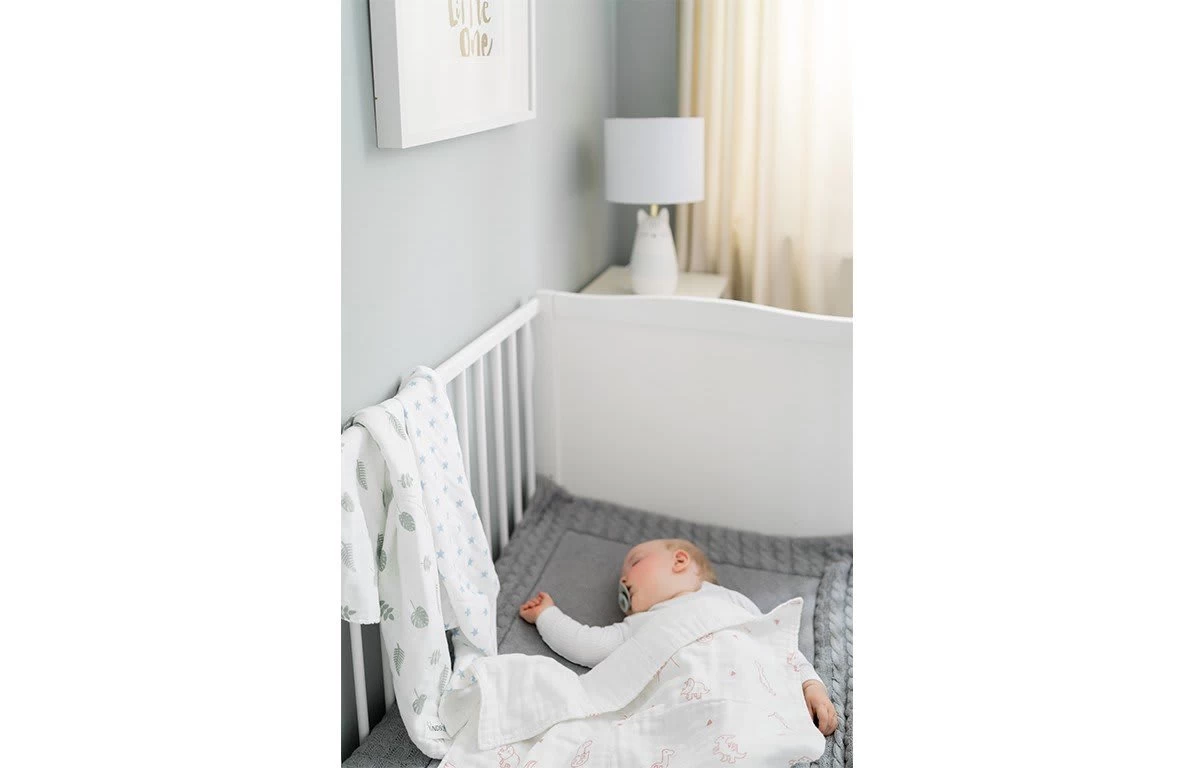 Spucktücher In Dino Design – Bild 4